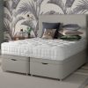 Vienna Ortho Divan