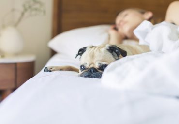 100 nights mattress trial