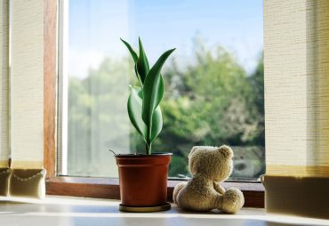 sleep environment air quality