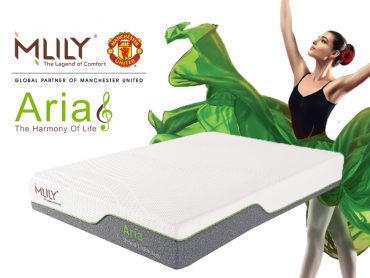 mlily aria
